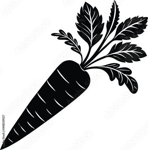 carrot vector illustration