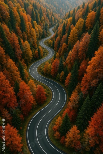 Serene Autumn Road Through Vibrant Mountain Forest Landscape