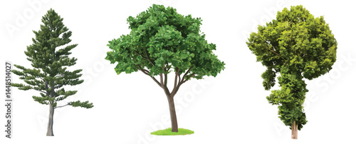 Vector watercolor green tree or forest side view isolated on white background for landscape and architecture drawing,elements for environment or and garden,Shrub for section