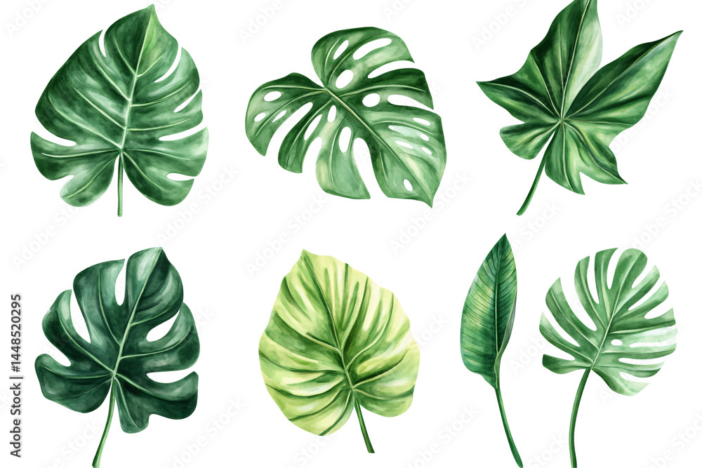 a group of green leaves a group of green leaves