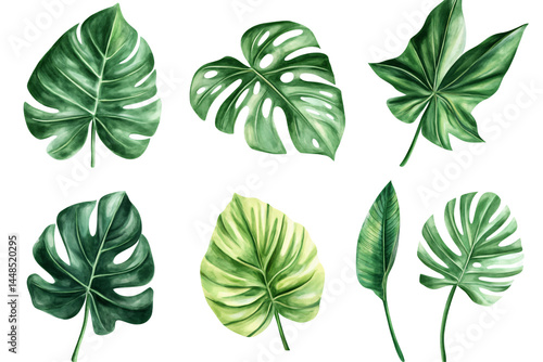 a group of green leaves