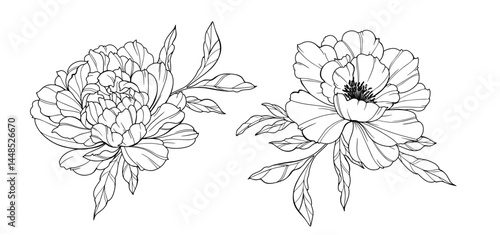 Peony Line Art. Trendy floral peony bouquets and flowers. Botanical Line Drawing Peony Collection. Hand drawn line art peony flowers. Luxury Line Floral Art. Peony Outline