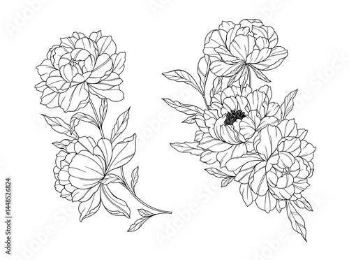 Peony Line Art. Trendy floral peony bouquets and flowers. Botanical Line Drawing Peony Collection. Hand drawn line art peony flowers. Luxury Line Floral Art. Peony Outline