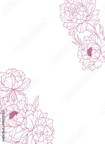 Peony Line Art. Trendy floral peony bouquets and flowers. Botanical Line Drawing Peony Collection. Hand drawn line art peony flowers. Luxury Line Floral Art. Peony Outline