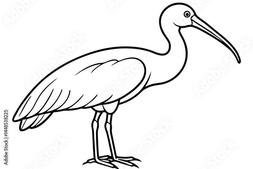 Cute Bird Vector Line Art Illustration – Clipart, Logo Icon, Black and White Bird Drawing