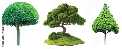 Vector watercolor green tree or forest side view isolated on white background for landscape and architecture drawing,elements for environment or and garden,Shrub for section
