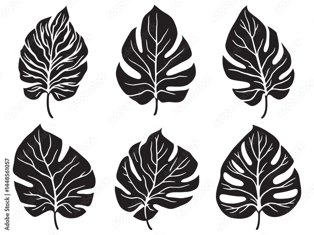 Fototapeta premium Detailed Alocasia Leaf Sketch for Minimalist Botanical Art
