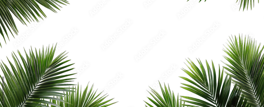 Lush tropical foliage framing a serene beach scene at sunset. with gentle waves lapping at the shore and vibrant colors illuminating the sky. ideal for relaxation and travel themes Lush tropical foliage framing a serene beach scene at sunset. with gentle waves lapping at the shore and vibrant colors illuminating the sky. ideal for relaxation and travel themes
