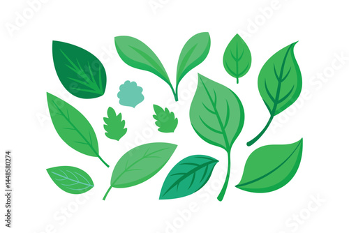 Collection of Green Leaf Isolated on White Background