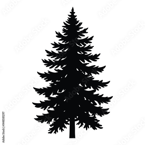 Austrian pine tree silhouette vector on white background 