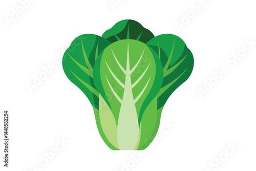 Fresh Green Bok Choy Chinese Cabbage or Pak Chai 