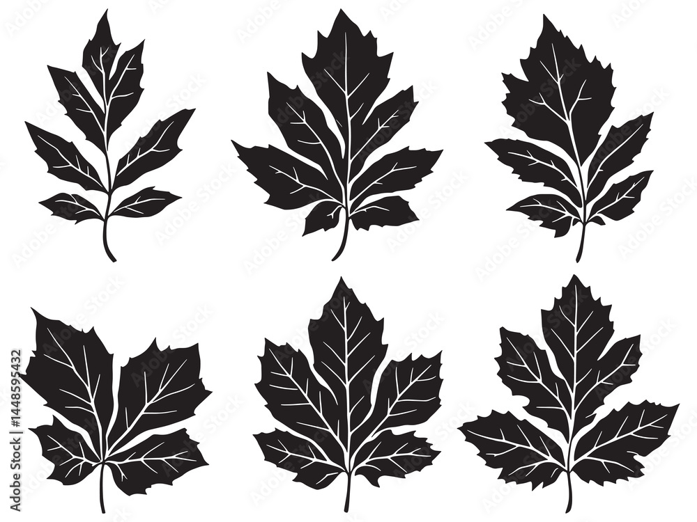 Obraz premium Elegant Ash Branch Line Art for Nature Decor