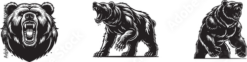 aggressive Bear illustration set, silhouette vector grizzly head and body