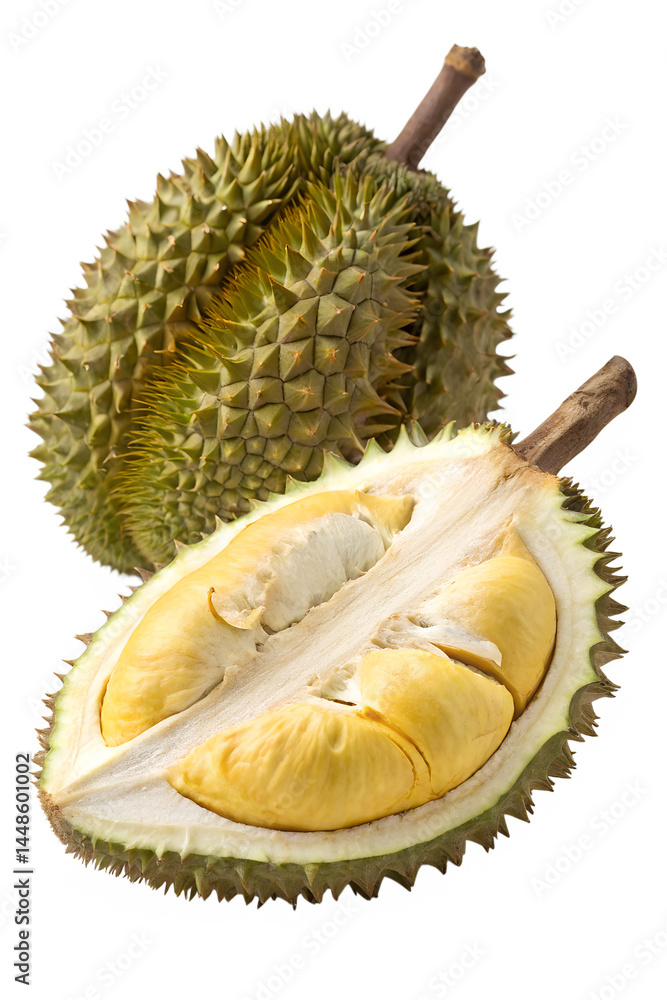 Obraz premium durian isolated on white background