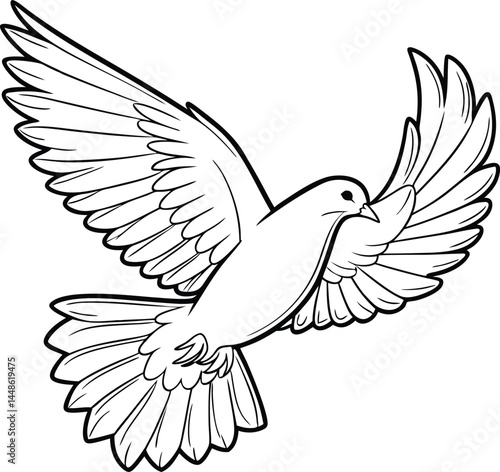 vector illustration of a dove