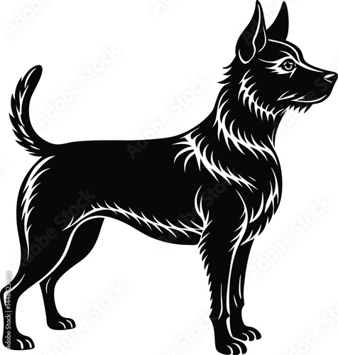 Silhouette Of Dog Standing Alert