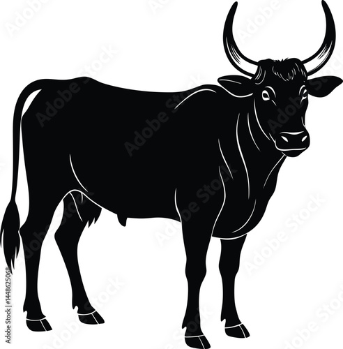 Silhouette Of Zebu Cattle