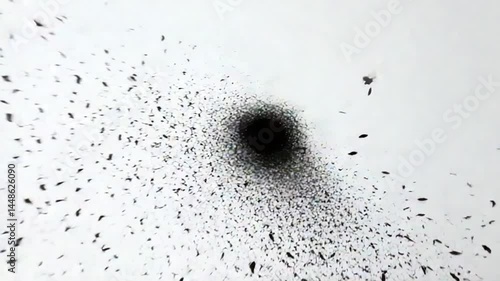 Murmuration Magic: An Abstract Exploration of Swarming Birds Against a Stark White Canvas