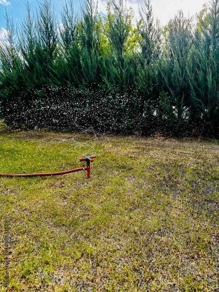 Naklejka premium sprinkler spraying water on the lawn