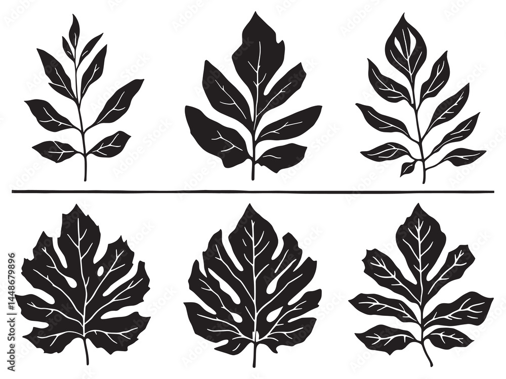 Elegant Cast Iron Plant Leaf Outline Vector Design Elegant Cast Iron Plant Leaf Outline Vector Design