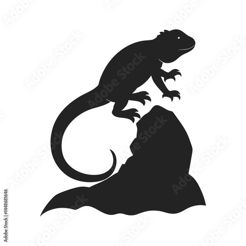 Lizard crawling over rocky silhouette surface
