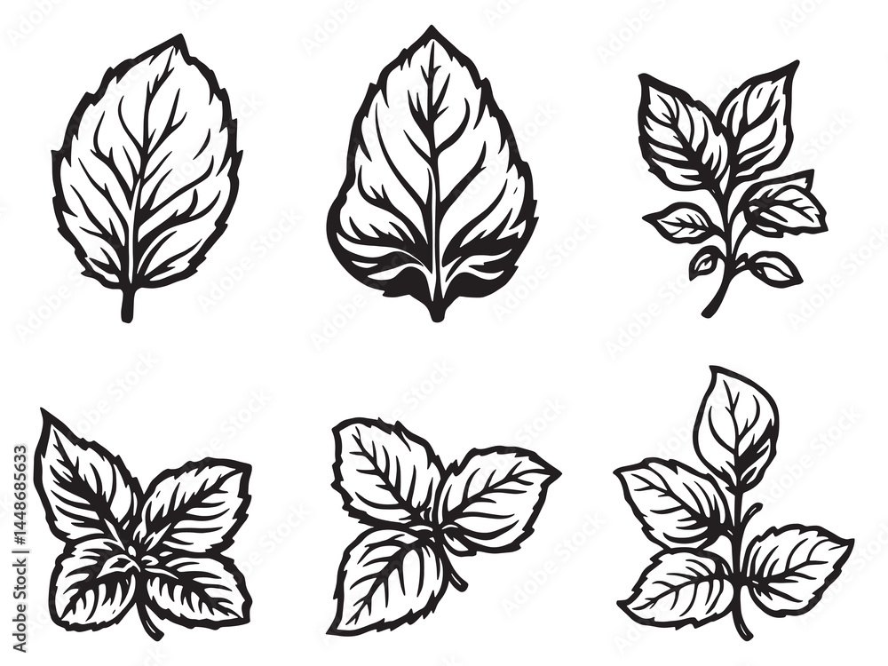 Elegant Hand Drawn Basil Leaf Line Art Design Elegant Hand Drawn Basil Leaf Line Art Design