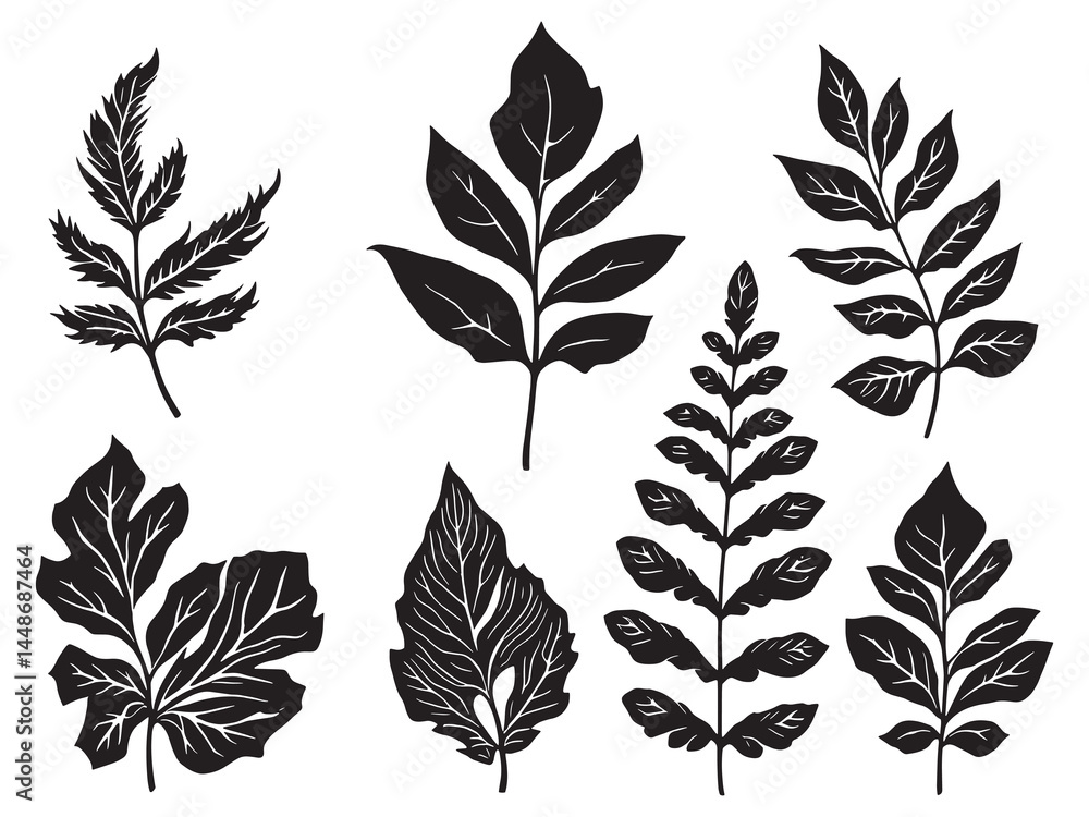 Elegant Haworthia Leaf in Detailed Line Art Design Elegant Haworthia Leaf in Detailed Line Art Design