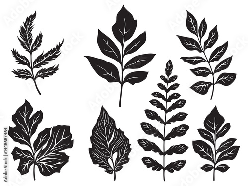 Elegant Haworthia Leaf in Detailed Line Art Design