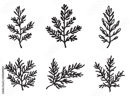 Elegant Juniper Leaf Line Art Illustration for Digital Design