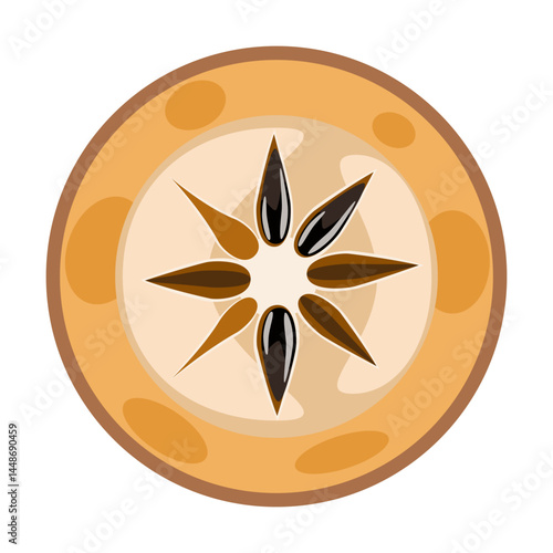 Sapodilla naseberry Jamaican fruit slice vector illustration 