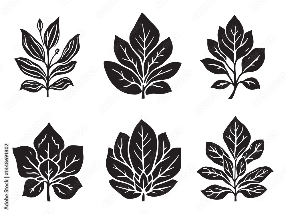 Elegant Line Art Drawing of Aeonium Succulent Plant Elegant Line Art Drawing of Aeonium Succulent Plant