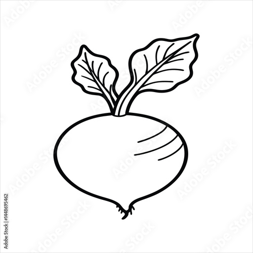 Kohlrabi with Leaves Line Art Sketch of Turnip-Shaped Vegetable