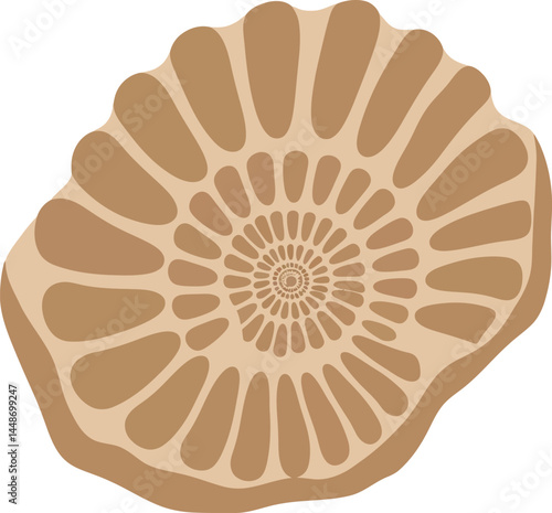 Fossilized ammonite shell spiral pattern illustration in beige and brown tones vector design for natural history and geology art 