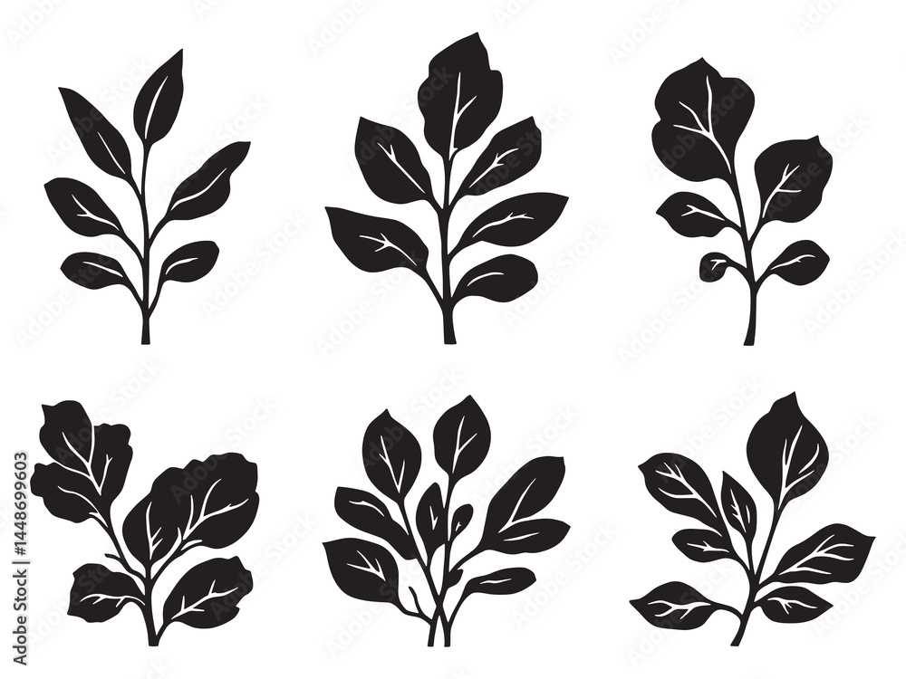 Elegant Minimalist Jade Plant Leaf in Line Art Style Elegant Minimalist Jade Plant Leaf in Line Art Style