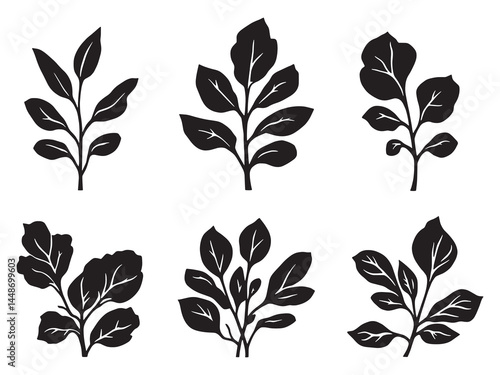 Elegant Minimalist Jade Plant Leaf in Line Art Style