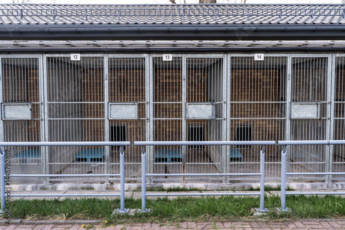 Exterior view of animal shelter kennels showing multiple metal cages. Dog rescue facility with numbered outdoor kennels and fencing. Animal shelter with caged kennels for stray and rescue dogs.