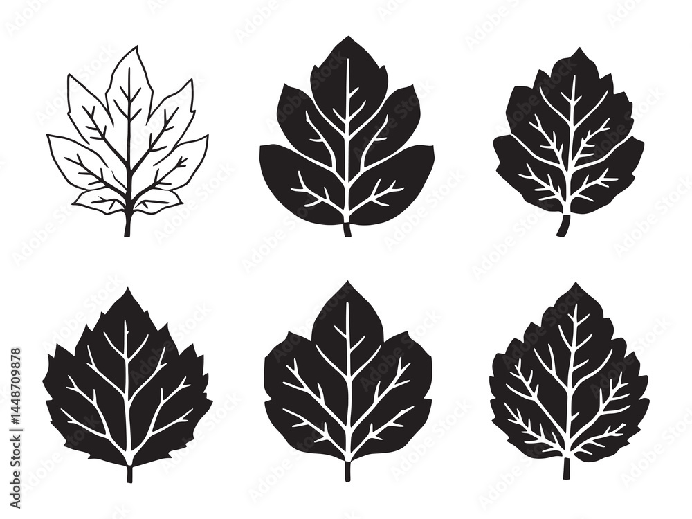 Fototapeta premium Elegant tamarind leaf line sketch for natural artwork