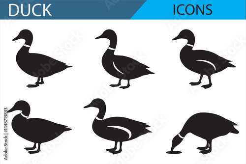Nature Inspired Duck Icons - For Wildlife and Animal Theme Designs