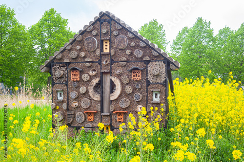 Rather big insect house in the middle of flowering rapeseed in Waddinxveen, Netherlands