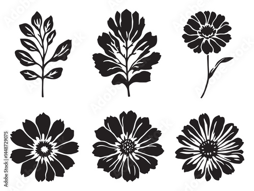 Floral line art of a Zinnia leaf drawing