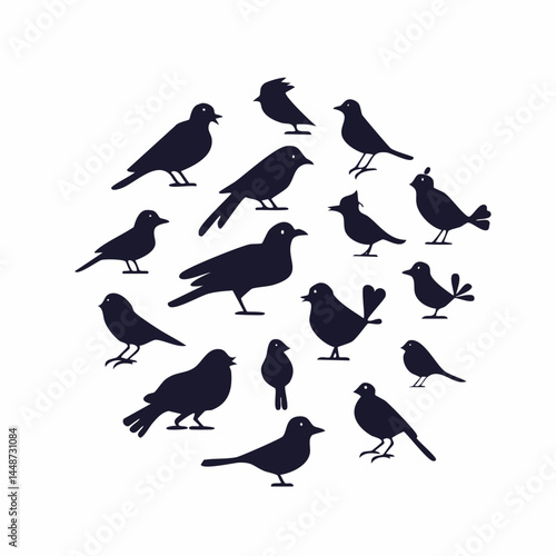 Different kinds of Birds silhouettes icon