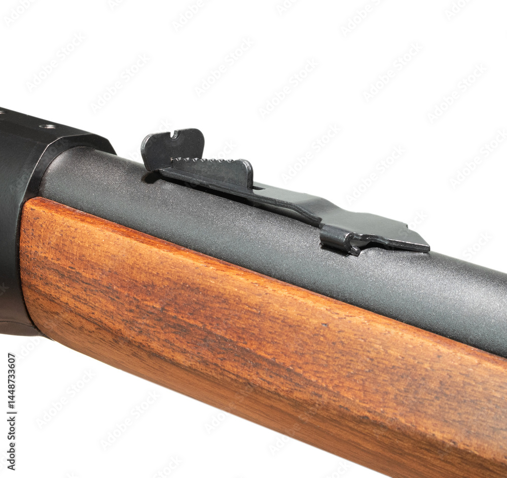 Traditional rear iron sights on a rifle