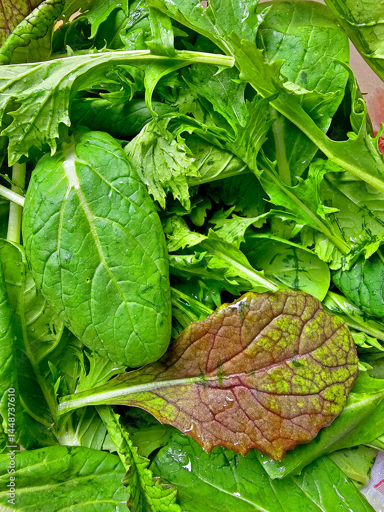 green leaves of salad as a background, top view, close-up