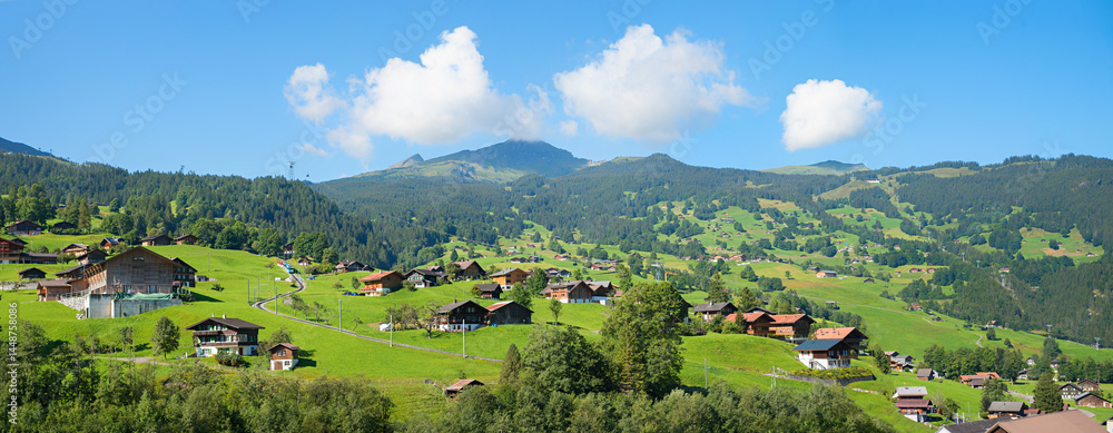 idyllic tourist resort Grindelwald, green slope with houses and farmsteads, switzerland