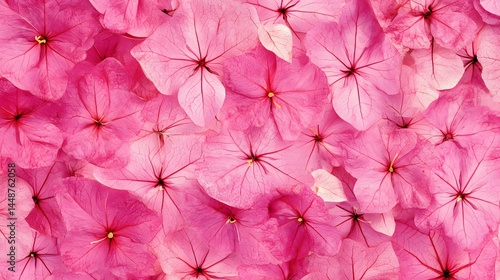 Wallpaper Mural Vibrant Pink Flower Petals Close Up Floral Texture Background Torontodigital.ca