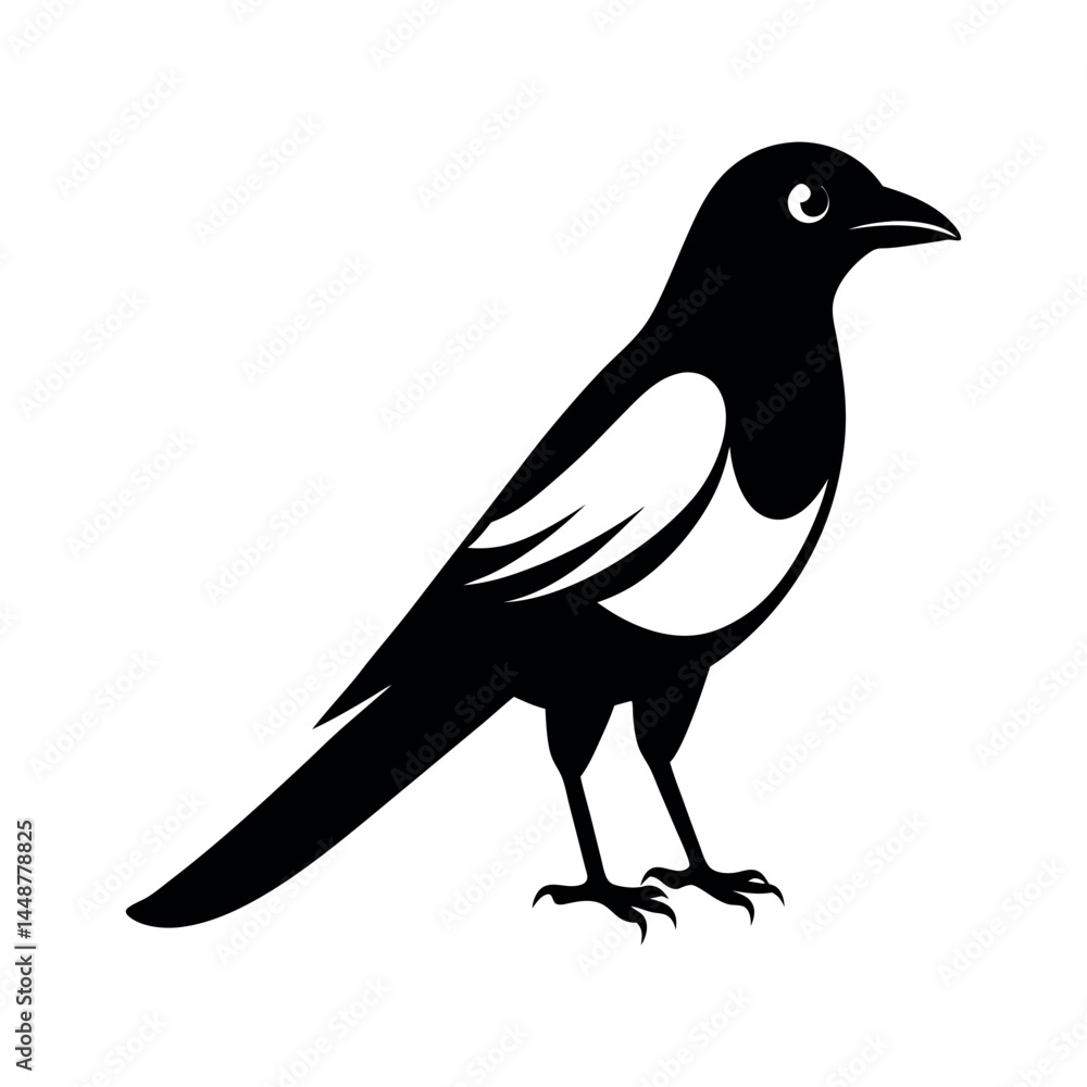 Fototapeta premium Eurasian Magpie Bird Vector Silhouette