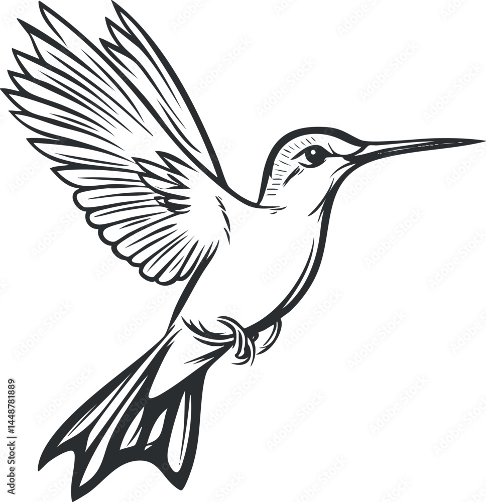 Obraz premium Black and white line art illustration of a hummingbird in flight with detailed wings and feathers