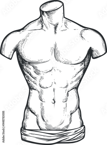 Hand-drawn sketch of a muscular male torso showing detailed anatomy and muscle definition