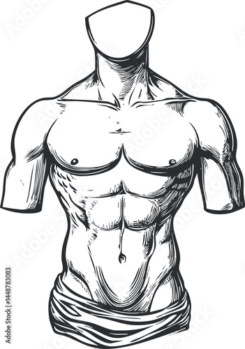 Hand-drawn sketch of a muscular male torso with defined chest and abdominal muscles, emphasizing anatomy and fitness.