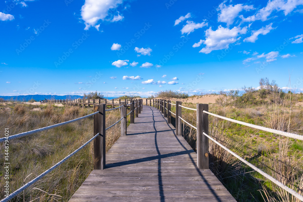 Wooden footbridge crossing wetland in ebro delta natural park, spain